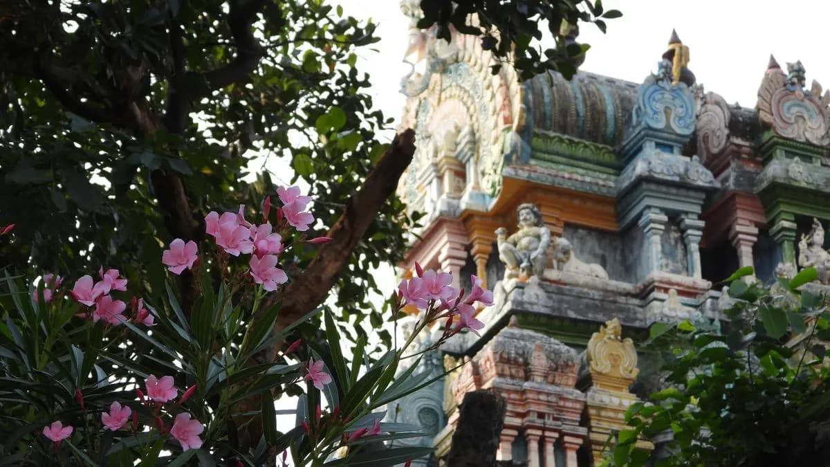 Africa's Sacred Gardens: Lessons from Tamil Nadu's Temple Groves