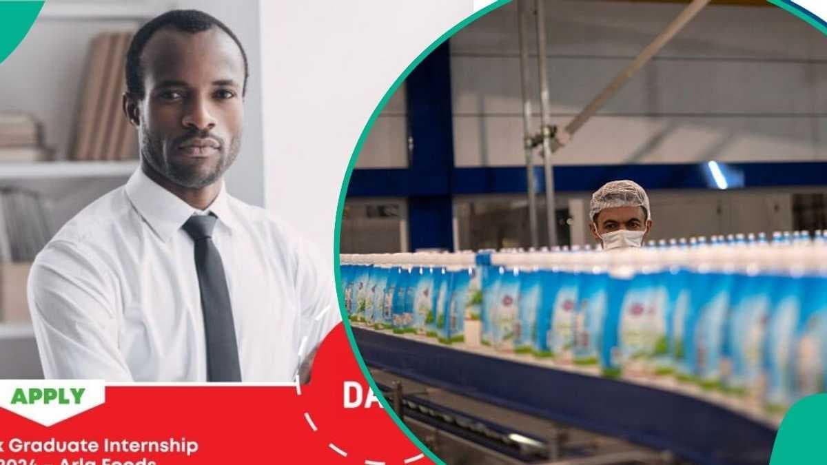 Dano Milk Launches 2026 Internship Program for Nigerian Graduates