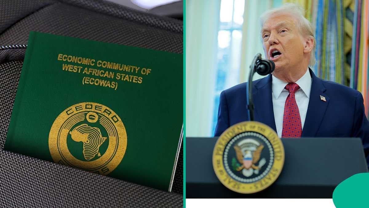 Trump's Travel Ban: How Nigeria Fights Back Against US Restrictions