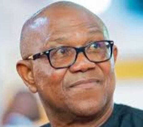 Fuel Subsidy Fight: Obidient Movement Dares FG, Says Peter Obi Will Cut Petrol Price in Half